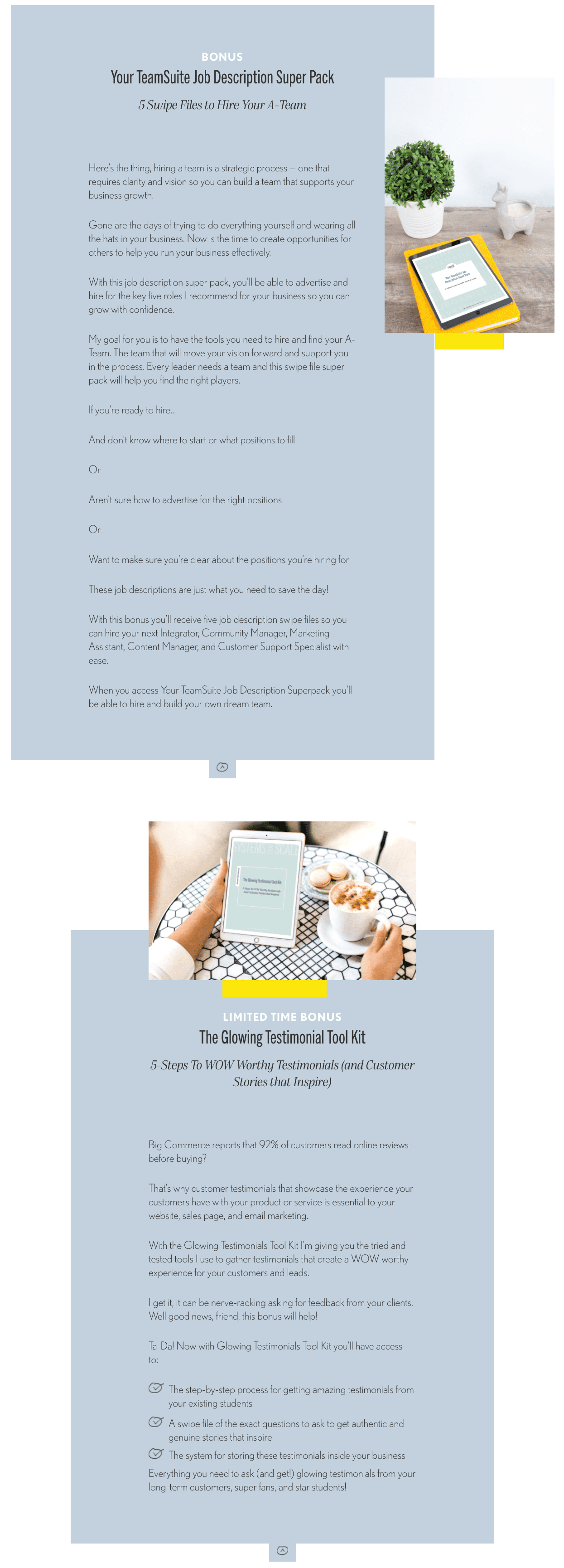 amy porterfield systems that scale 66979c81897b4