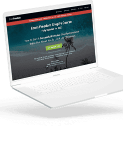 Dan Vas – The Ecom Freedom Shopify Course + Mentorship Program