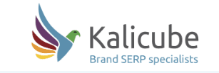 jason barnard brand serp course 66990740b4a54