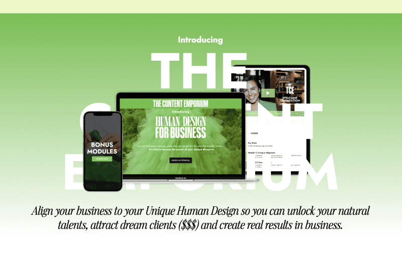 phoebe khun human design for business 6697b8b79e746