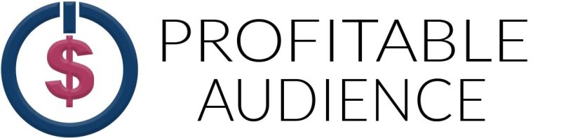 steve chou profitable audience 6697b180dbf27