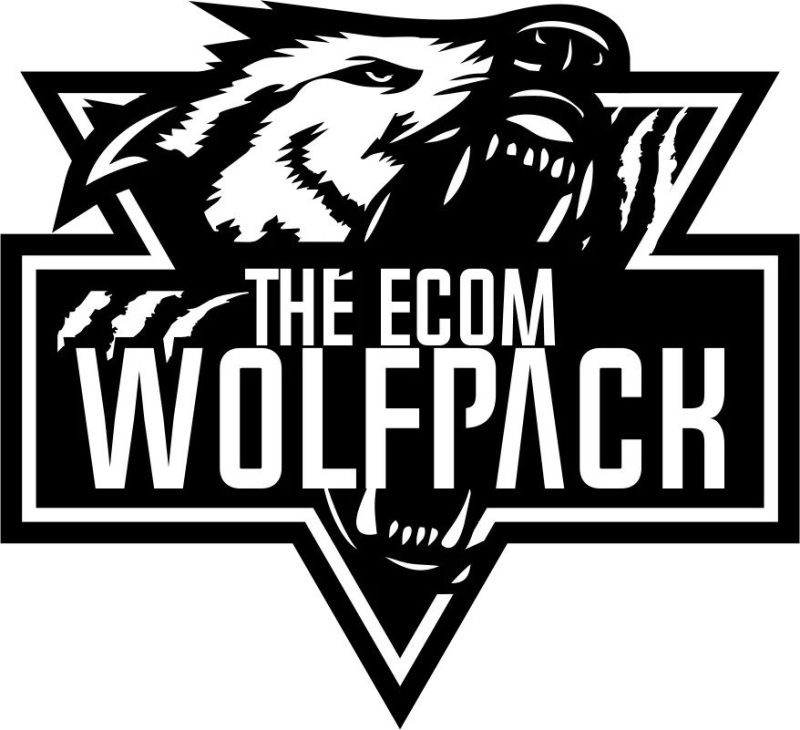 the ecom wolf pack dropshipping to branding course 6697b8075e7ea