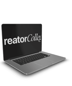 Creator College – All Courses