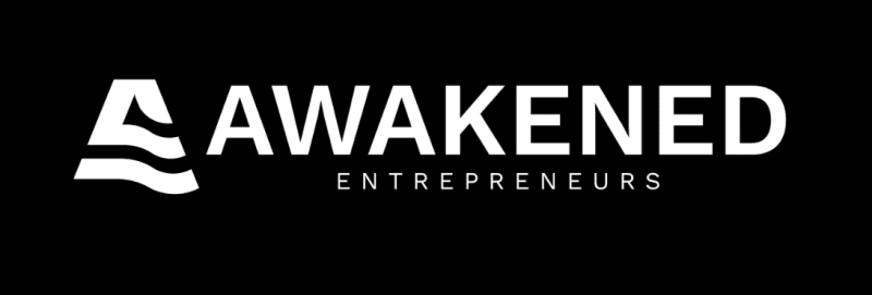 nero knowledge the awakened entrepreneurs blueprint 2 683953fb91114